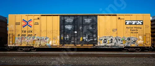 TBOX666807