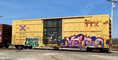 FBOX502604