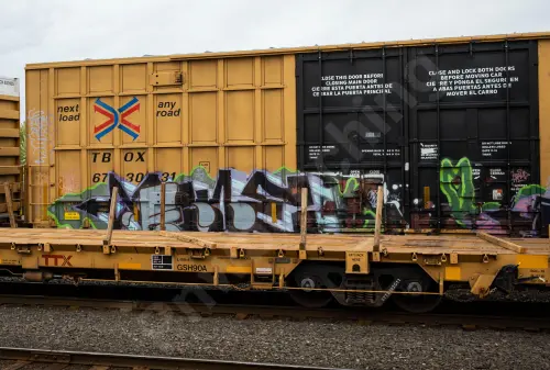 TBOX673031