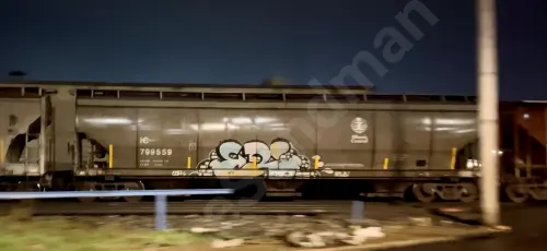 Train photo