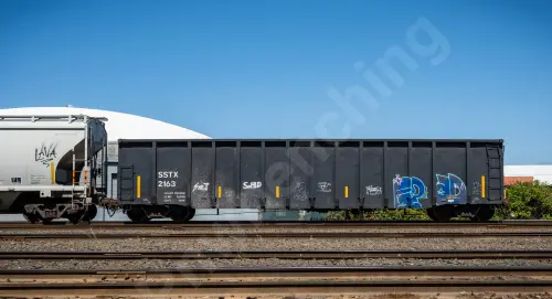 SSTX2163