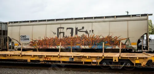 Train photo