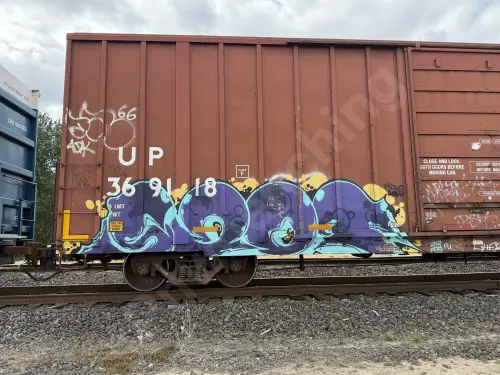 UP369118