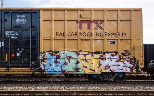 TBOX635518