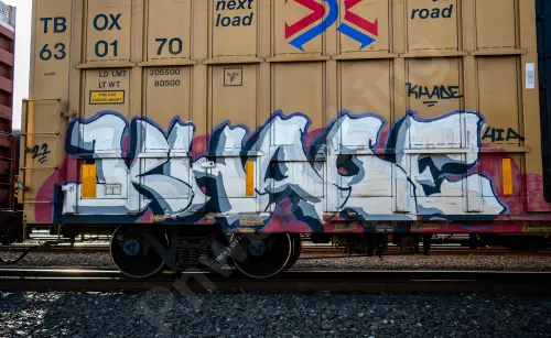 TBOX630170