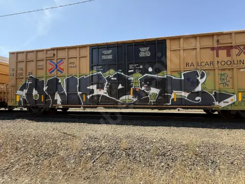 TBOX630239