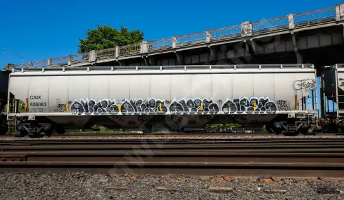 CAIX636083