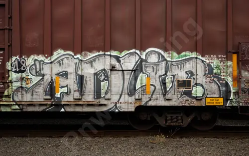 DWC795003