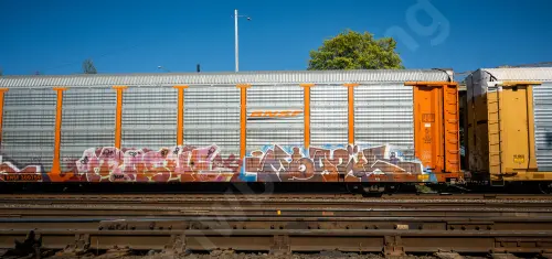 BNSF300759