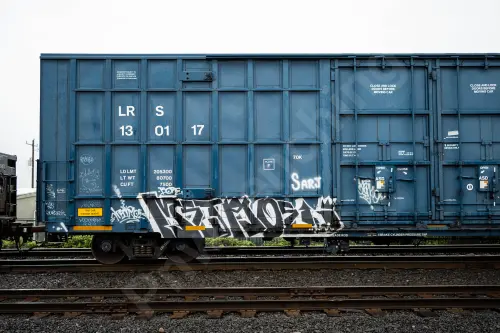 LRS130117