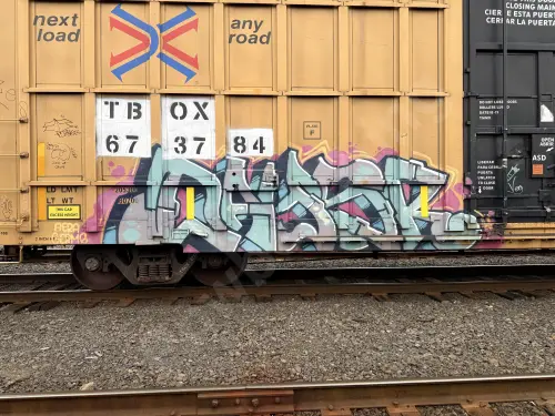 TBOX673784