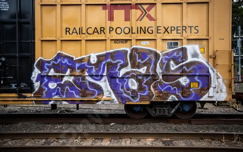 TBOX635828
