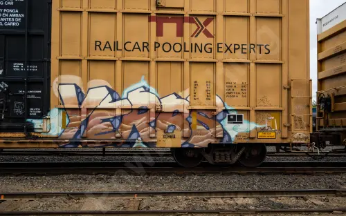 TBOX638423
