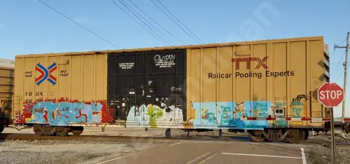 TBOX663202