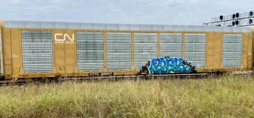 Train photo