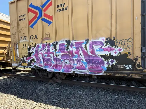 TBOX662476
