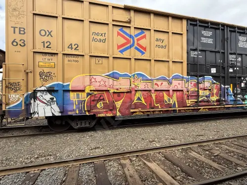 TBOX631242