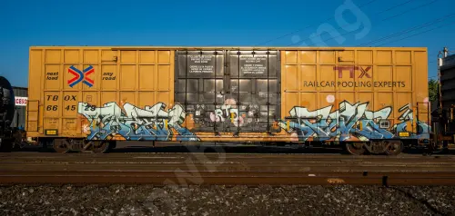 TBOX664529