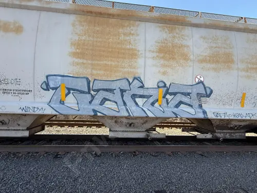 CRDX15360