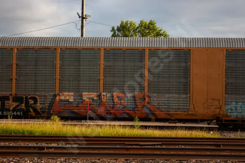 TTGX695441
