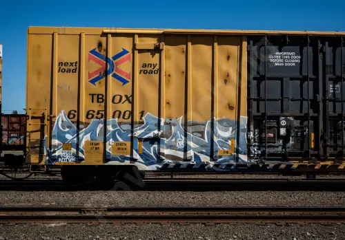 TBOX665001