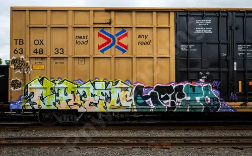 TBOX634833