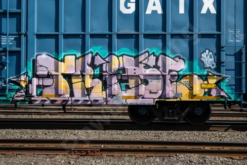 LRS130267