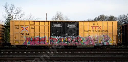 TBOX673177