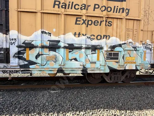 FBOX504499