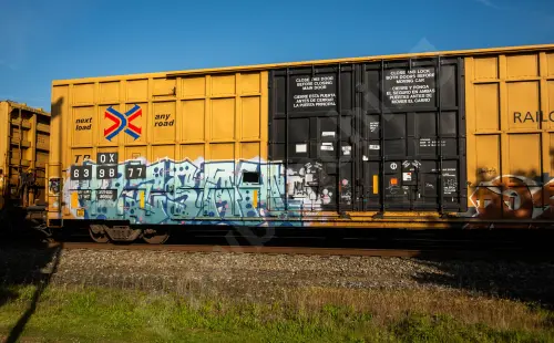 TBOX639877