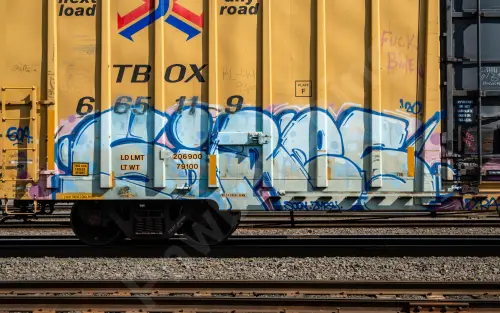 TBOX665119