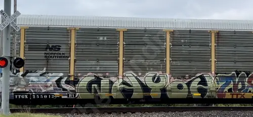 TTGX255012