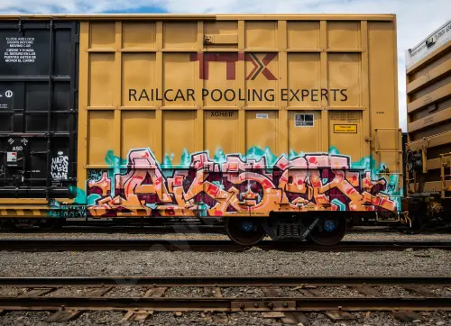 TBOX636026