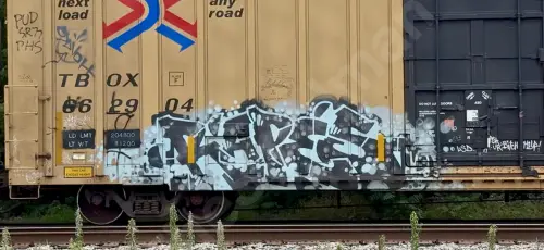 TBOX662904