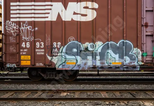 NS469388