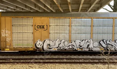 Train photo