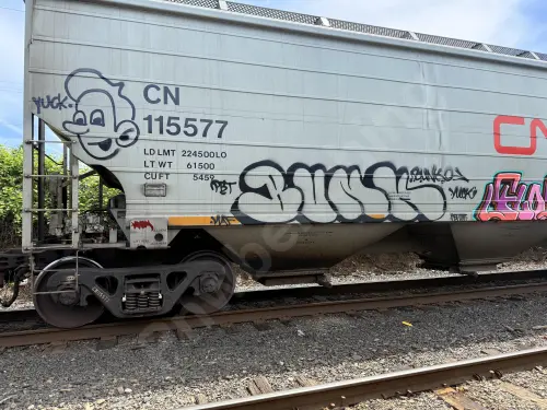 CN115577