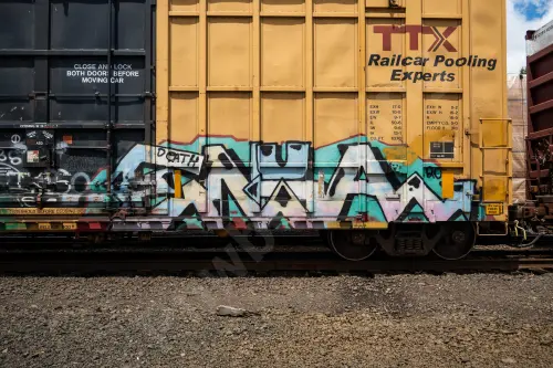 FBOX505484
