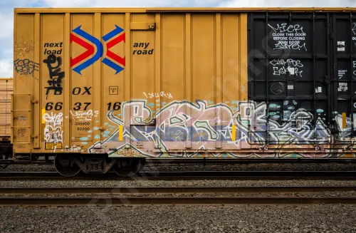 TBOX663716