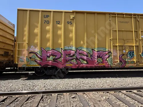 UP701295