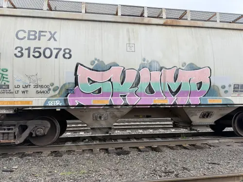 CBFX315078
