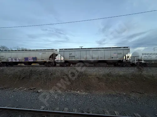 Train photo