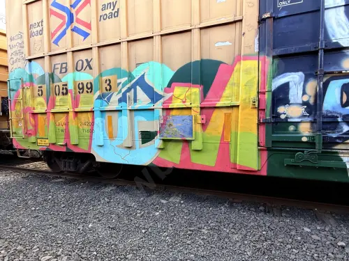 FBOX505993