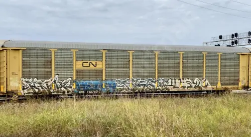 Train photo