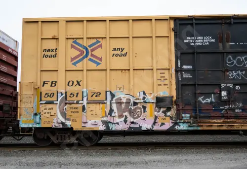 FBOX505172