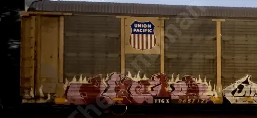 TTGX985717