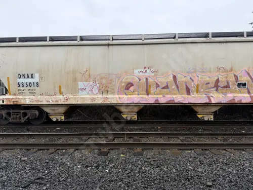 DNAX585018