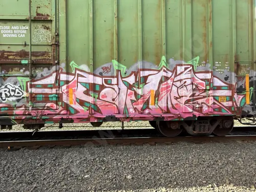 IBT19292