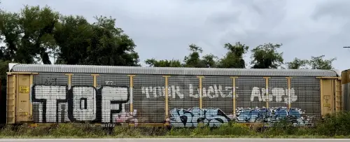 Train photo