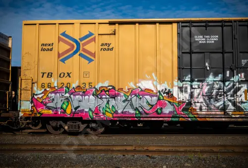 TBOX662035